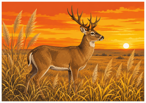 Disegno di Fauna del Mondo